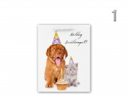 Ajándéktasak Boldog Születésnapot kutya/macska közép 18x10x23cm 624697