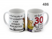 Bögre Az élet 30 éves kor után... 3dl 486