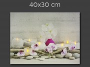 CQ00855 7 LEDes világító falikép rózsaszín orchideák 40x30cm