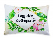 CQ04566 Díszpárna Legjobb kolléganő 38x28cm