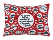 CQ04590 Díszpárna Boldog Születésnapot Légy örök fiatal 38x28cm
