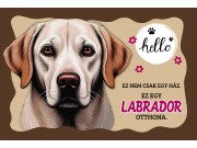 CQ06980 Tálalátét - lábtörlő Labrador kutyás 60x40cm