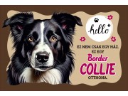 CQ06984 Tálalátét - lábtörlő Border Collie kutyás 60x40cm