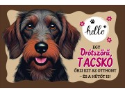 CQ06991 Tálalátét - lábtörlő Drótszőrű Tacskó kutyás 60x40cm