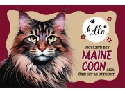 CQ06999 Tálalátét - lábtörlő Maine Coon cicás 60x40cm