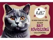 CQ07001 Tálalátét - lábtörlő Brit Rövidszőrű cicás 60x40cm