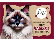 CQ07003 Tálalátét - lábtörlő Ragdoll cicás 60x40cm