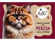 CQ07004 Tálalátét - lábtörlő Perzsa cicás 60x40cm