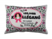 CQ07182 Díszpárna Legjobb Kolléganő 35x25cm