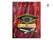 CQ07383 Ajándéktasak 3D ballagási óriás 31x12x41cm 4f