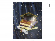 CQ07383 Ajándéktasak 3D ballagási óriás 31x12x41cm 4f