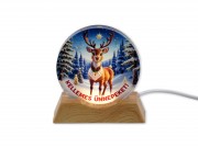CQ08085 Karácsonyi világító dísz szarvas USB kábellel 9cm