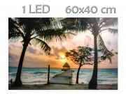 CQ5534 LEDes világító falikép pálmafás 60x40cm