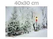 CQ6037 1+40 LEDes világító falikép havas pad 40x30cm