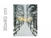 CQ6039 6 LEDes világító falikép havas ösvény 30x40cm