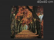 CQ7590 6LEDes világító falikép őszi ösvény 40x40cm