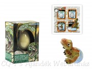 Dinoszaurusz baby tojásban 11/2005 6f
