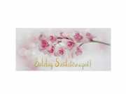 Díszboríték Boldog Születésnapot 19x9cm 662613