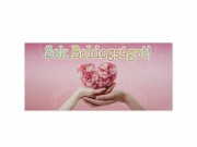 Díszboríték Sok boldogságot 19x9cm 662750