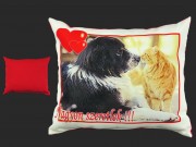 Díszpárna Nagyon szeretlek kutya/cica 30x25cm VN1019