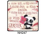 Hűtőmágnes NH247 Legszebb érzés panda 7,5cm