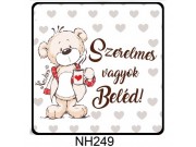 Hűtőmágnes NH249 Szerelmes vagyok beléd maci 7,5cm