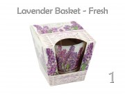 Illatgyertya pohárban Lavender Basket 9cm 2f