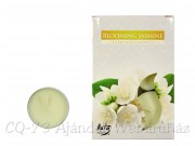 Illatos teamécses Blooming Jasmine 6db 4cm