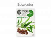 Illatos teamécses Eukaliptusz 6db