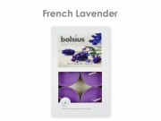 Illatos teamécses French Lavender 6db 4cm