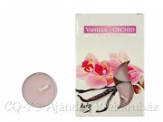 Illatos teamécses Vanilla-Orchid 6db 4cm