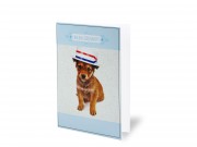 Képeslap kutya kék Boldog Szülinapot glitteres + boríték 12x17cm 236742
