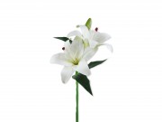 Liliom szál 38cm ST-3169