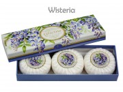 Növényi szappan Wisteria 3db*100g 519122