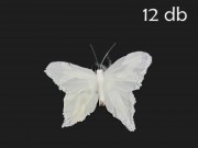 Pillangó csipesz szett fehér 12db 13x10cm HY-911
