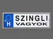 Rendszámtábla Szingli vagyok DR008