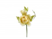 Rózsa sárga művirág 15x22cm 504221