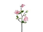 Tulipánfa ág 52cm ST-3233